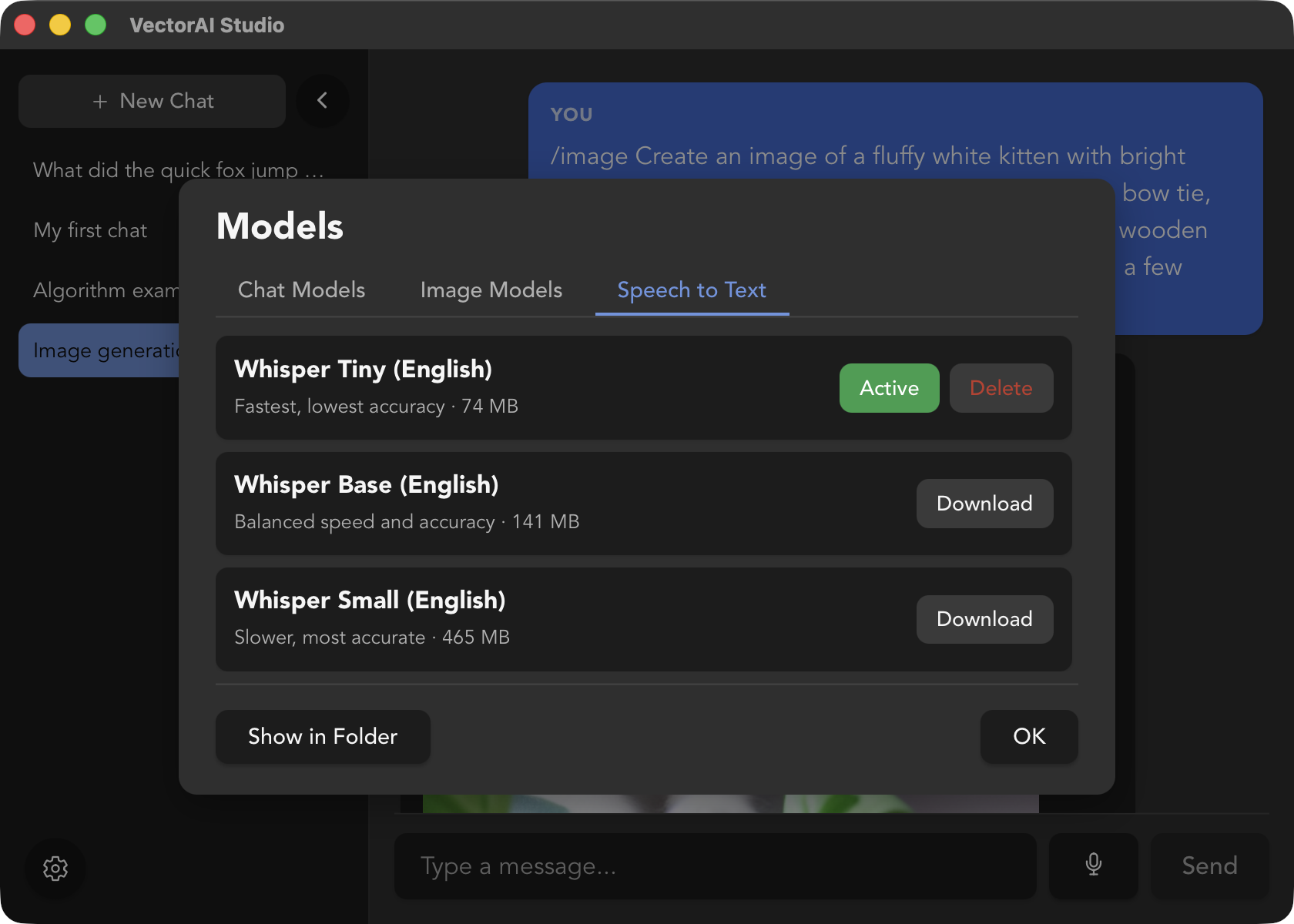 VectorAI Studio voice dictation screenshot
